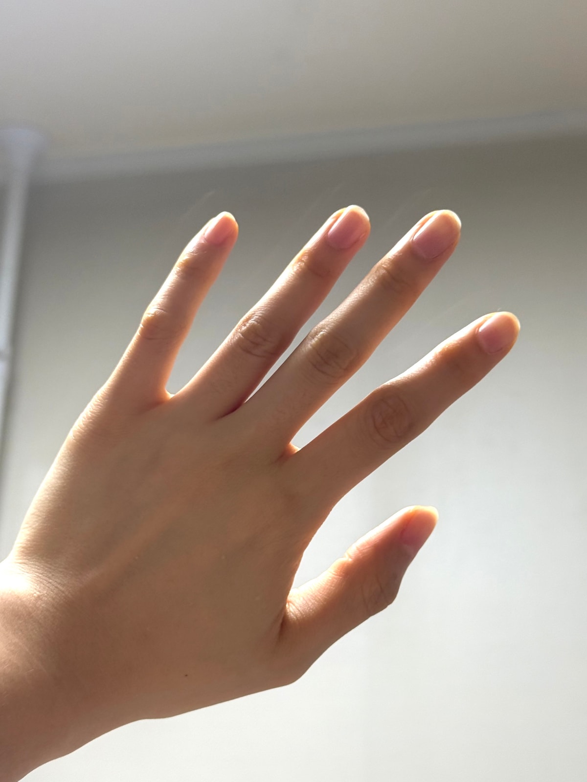 IMG_6576.jpeg
