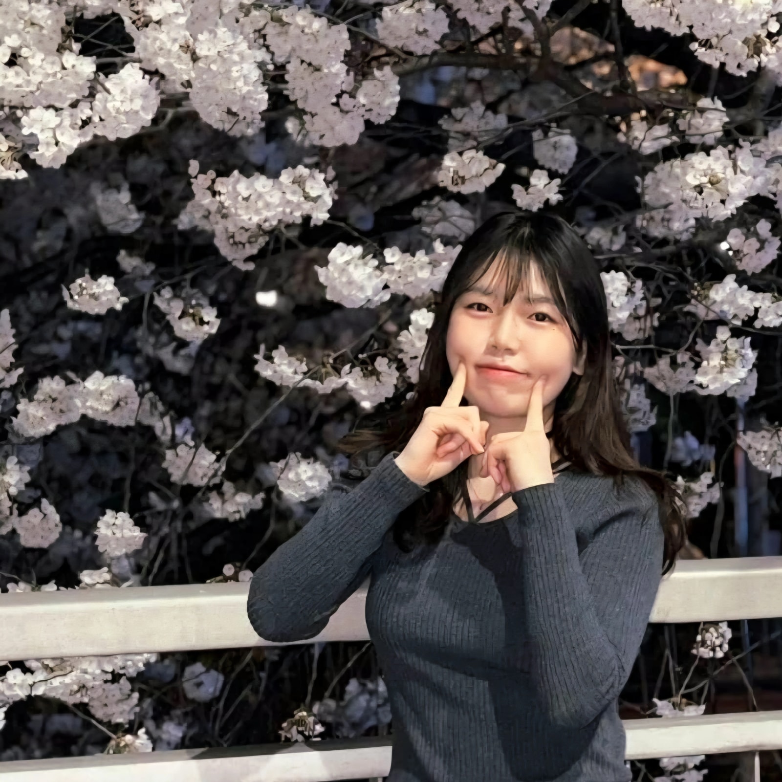서연