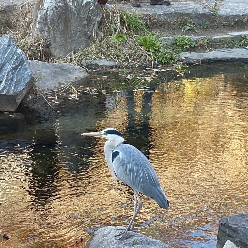 강용택
