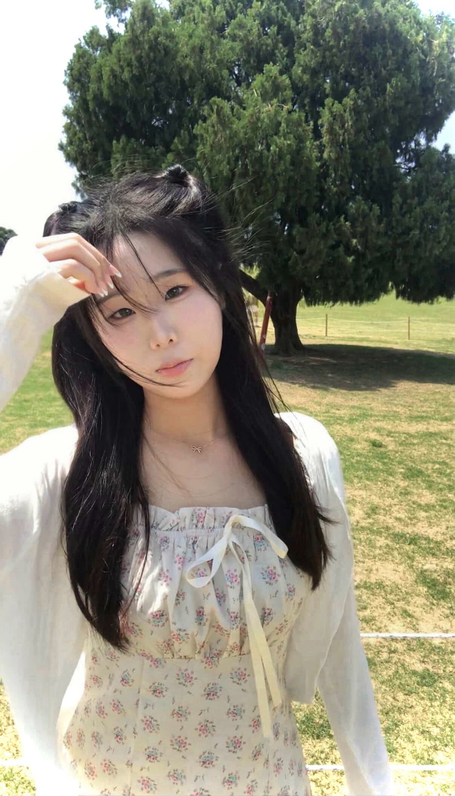 배서영